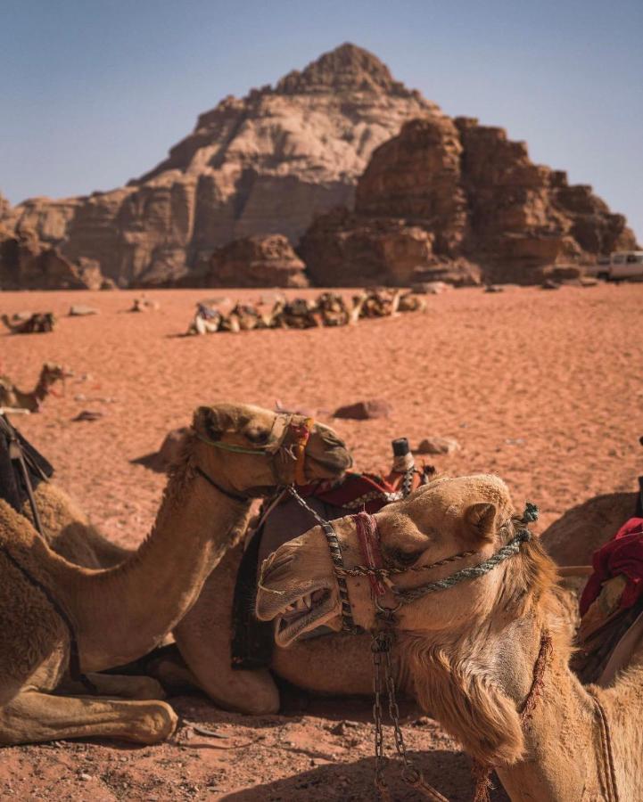 Sun Luxury Camp &Tour Appartement Wadi Rum Buitenkant foto